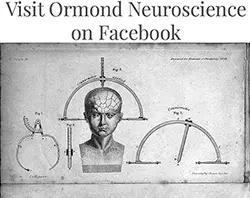 Visit Ormond Neuroscience on Facebook